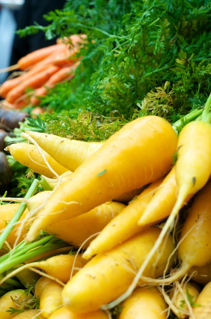 carrot_stand.jpg