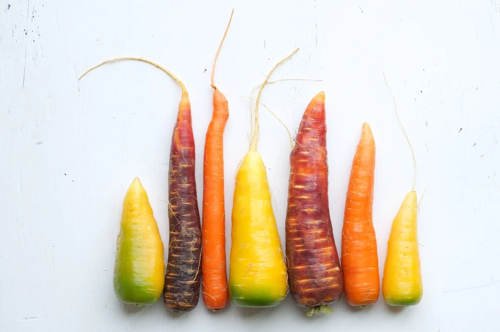 carrot_salad2 (1).jpg