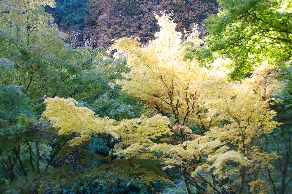 Portland Japanese Garden