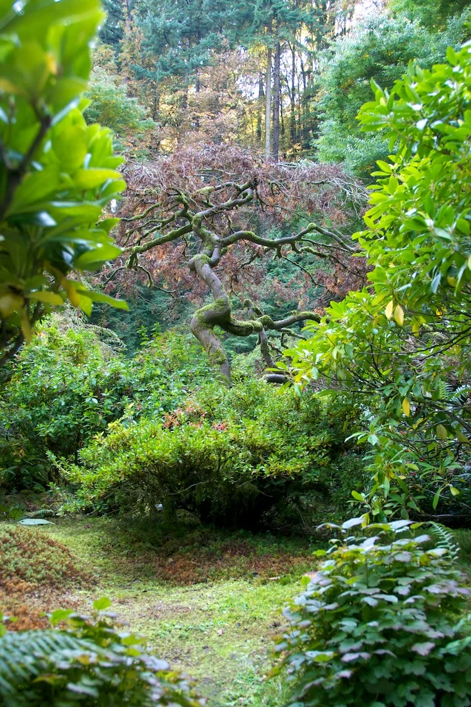 1013_japanese_garden (2).jpg