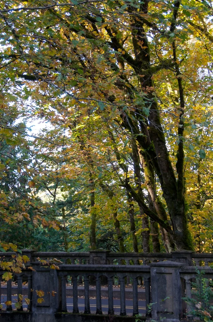 columbia_gorge.jpg
