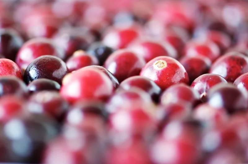 cranberry_pear_relish (1).jpg