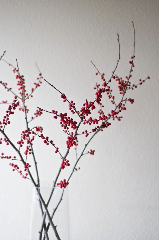 granola_brown_sugar_winter_spice (3).jpg