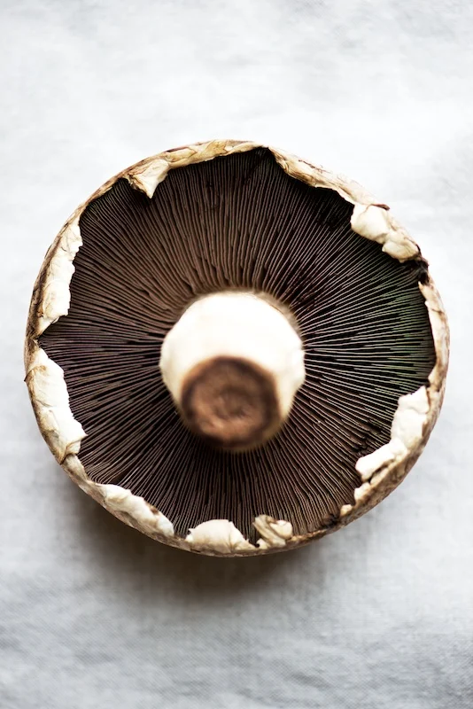 stuffed_mushrooms (2).jpg