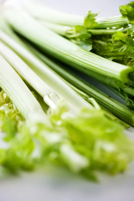 celery_salad (1).jpg