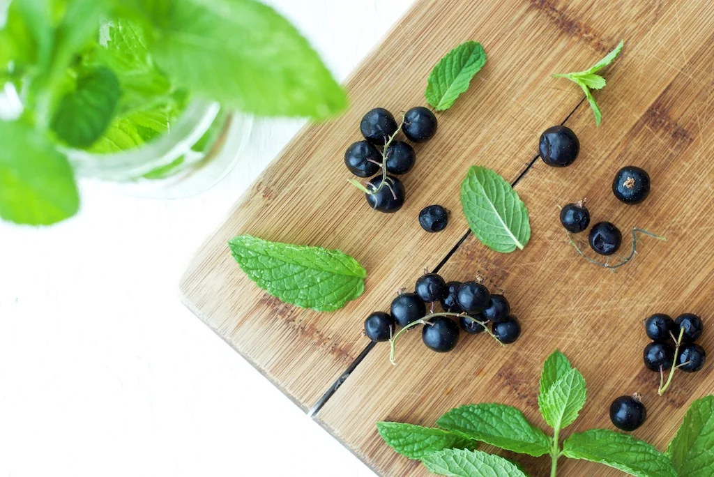 Black Currant + Mint Crostini — Pixels + Crumbs