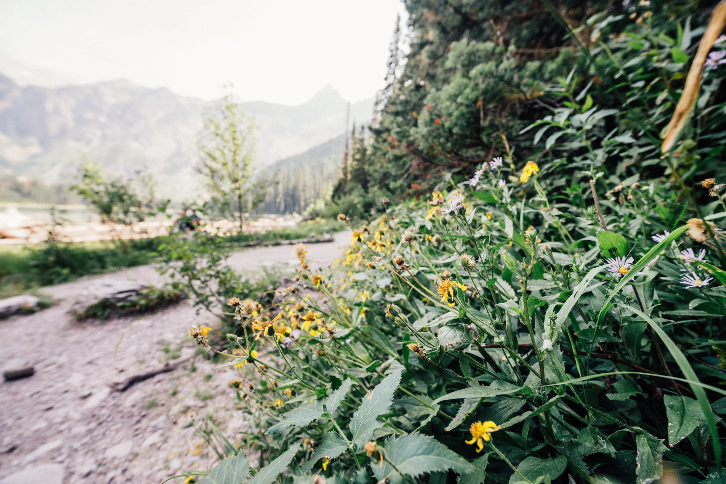 glacier_national_park_10.jpg