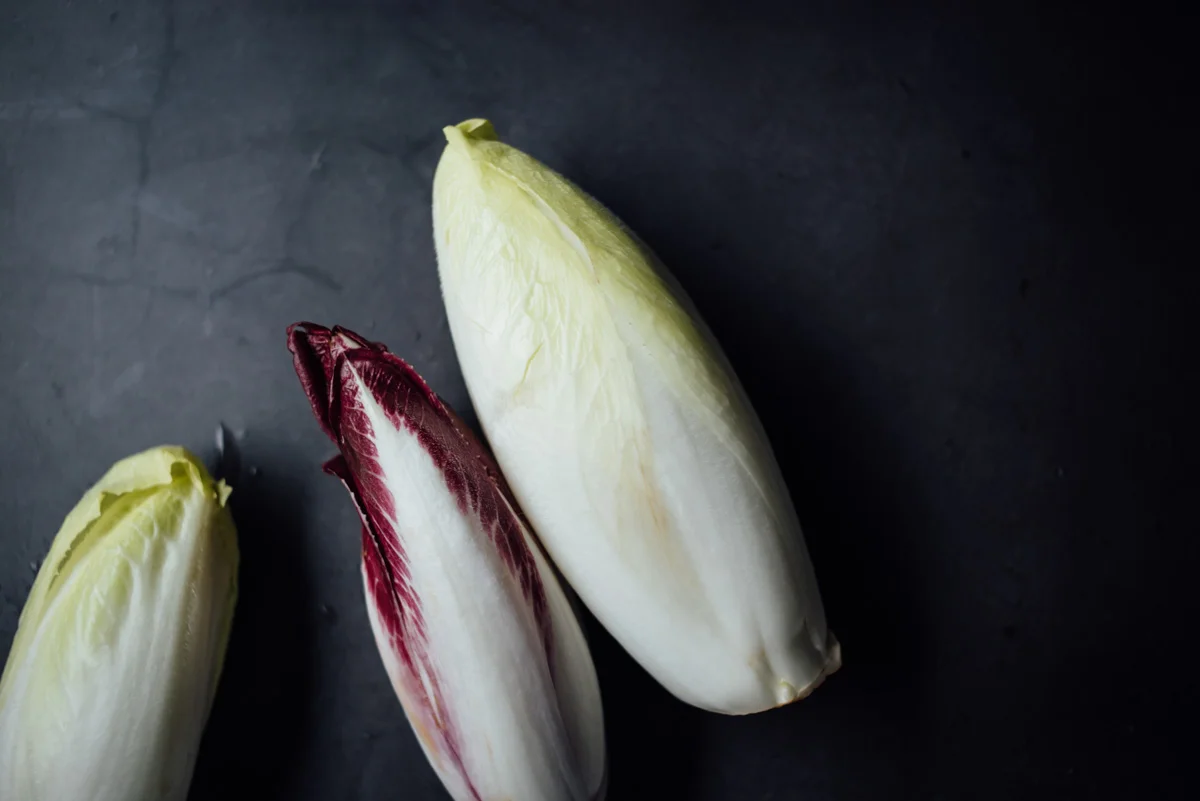 endive_salad-2.jpg
