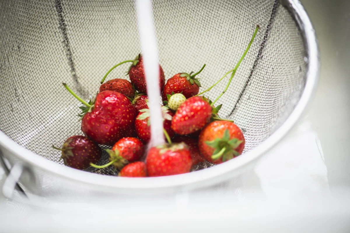 strawberry_rhubarb_galette-2.jpg