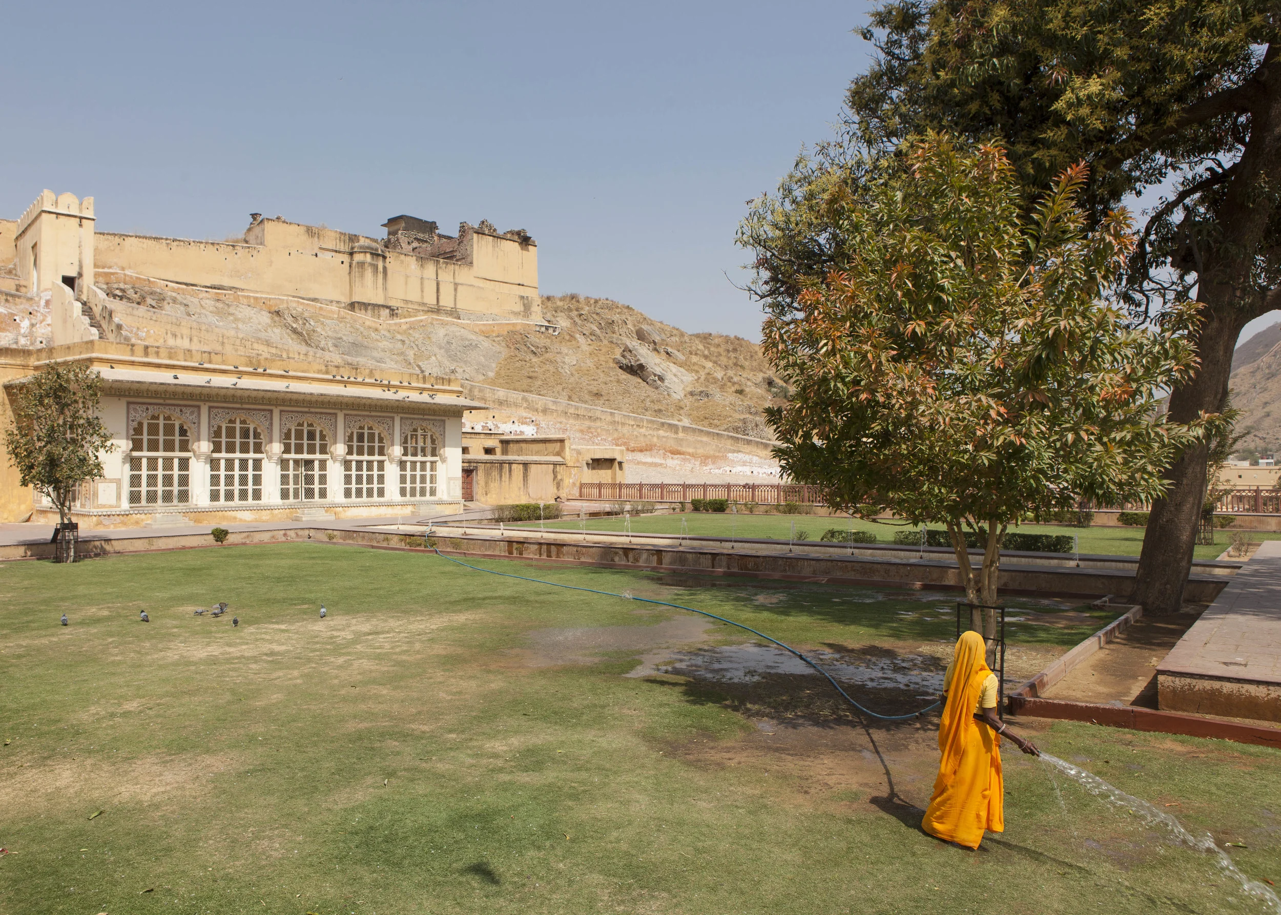 India_ph15.jpg