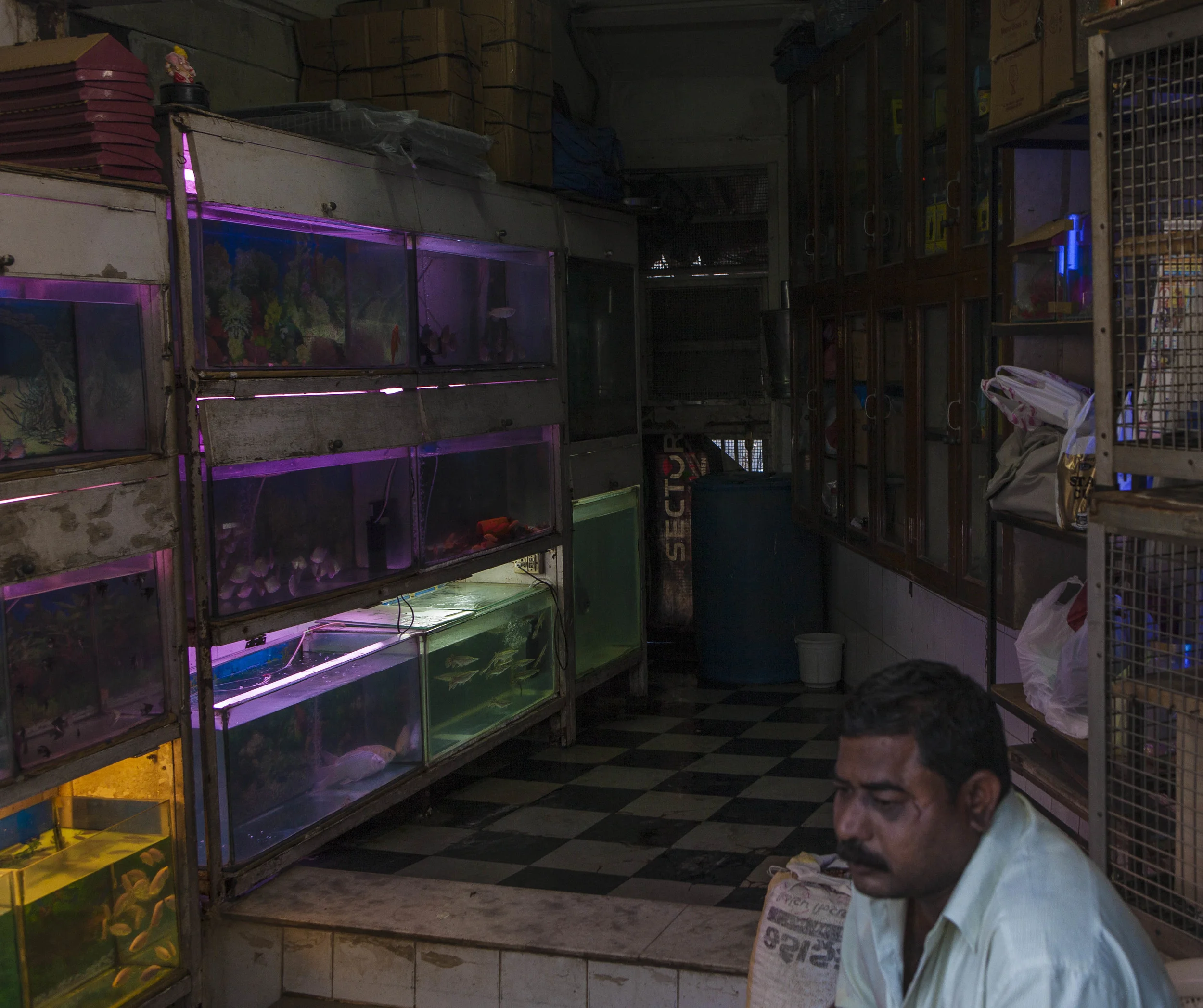 India_ph29.jpg
