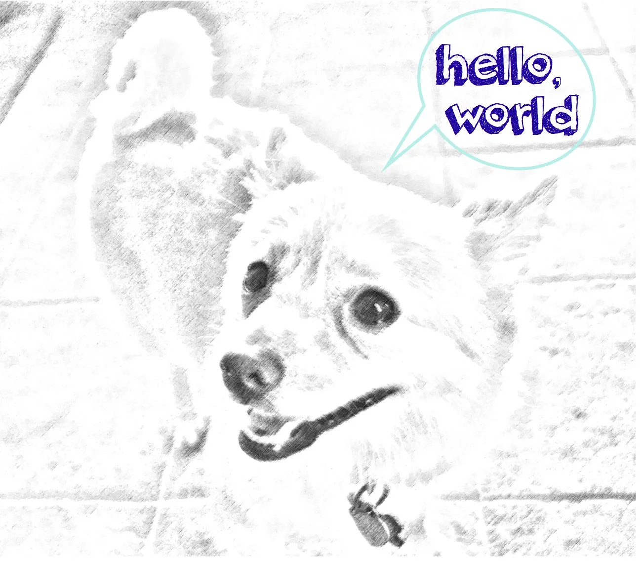 hello world.jpg