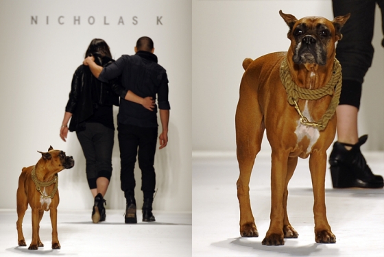 Christopher and Nicholas Kunz with Jake. Photo Credit: nymag.com