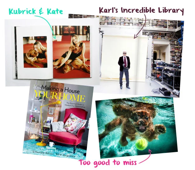 Sean Ellis: Kubrick the Dog by Photographer Sean Ellis, The Selby Is in Your Place by Todd Selby, Making a House Your Home by Clare Nolan, Underwater Dogs by Seth Casteel. 