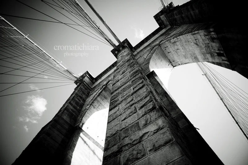 under the bridge