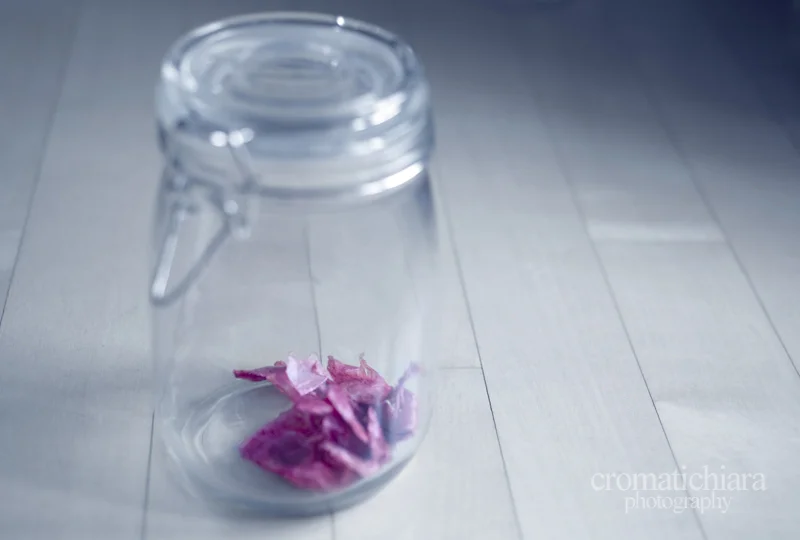 pieces of me
