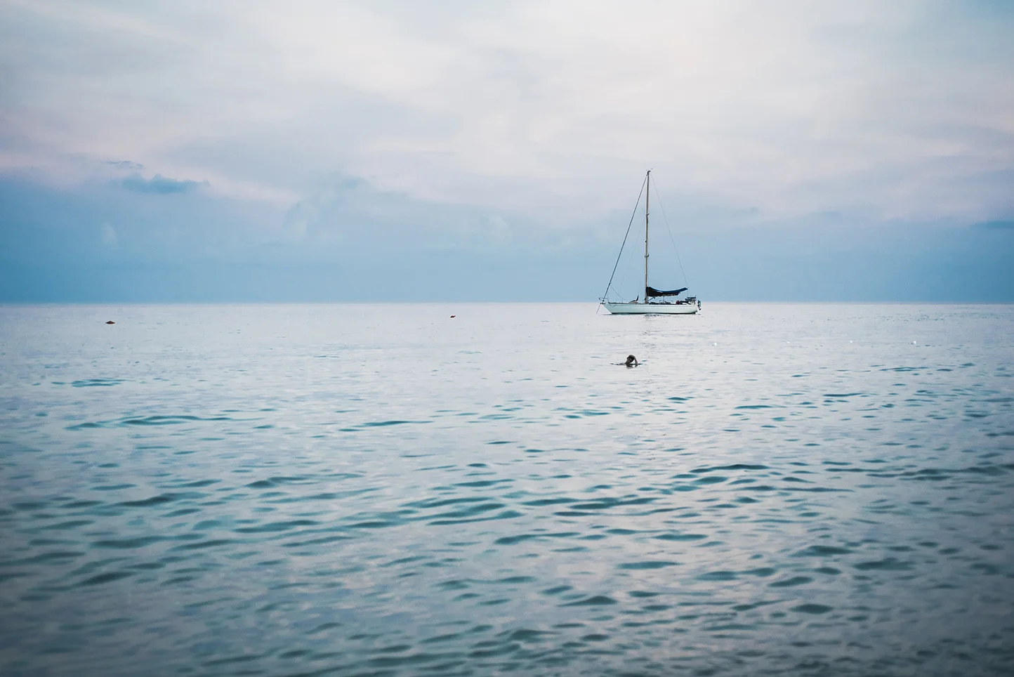 DSC_8675-2.jpg