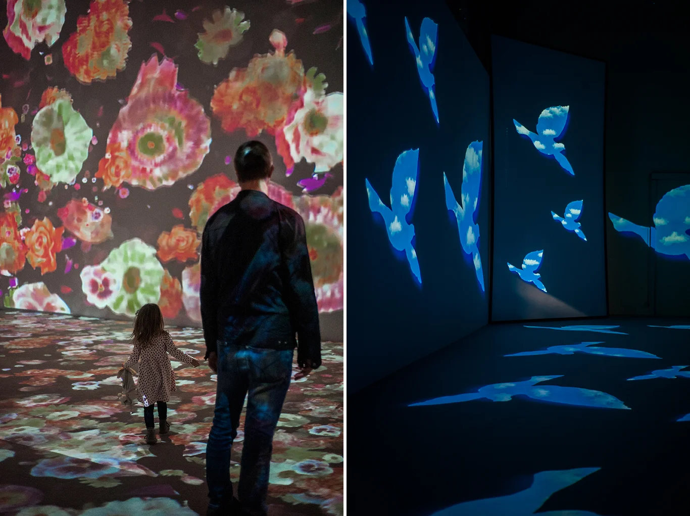 emotion_exhibition.jpg