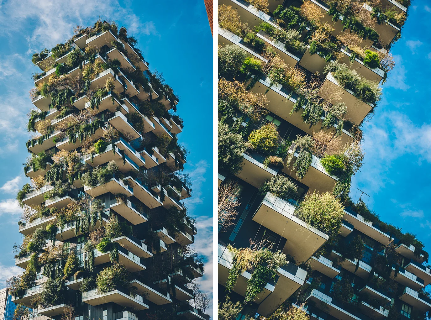 bosco_verticale.jpg