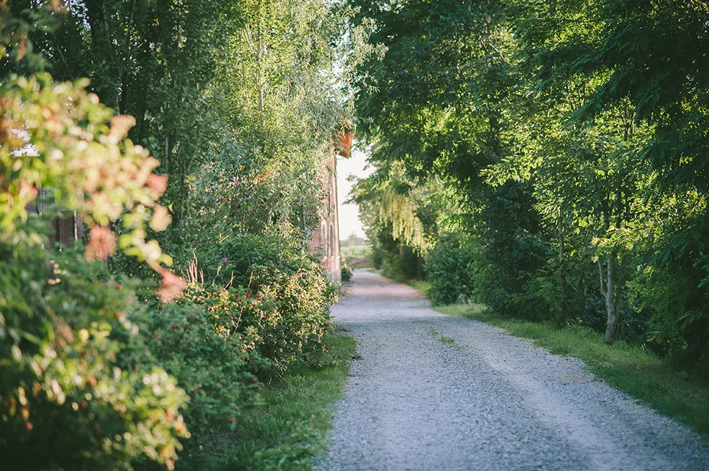 DSC_3504.jpg