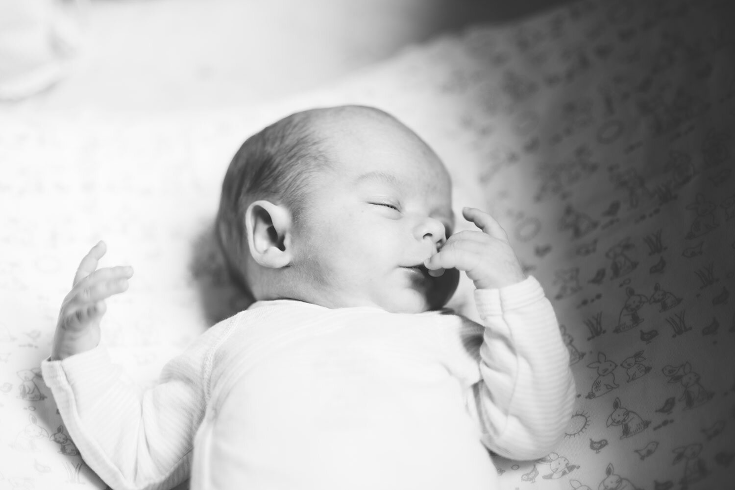 servizio-fotografico-newborn.jpg