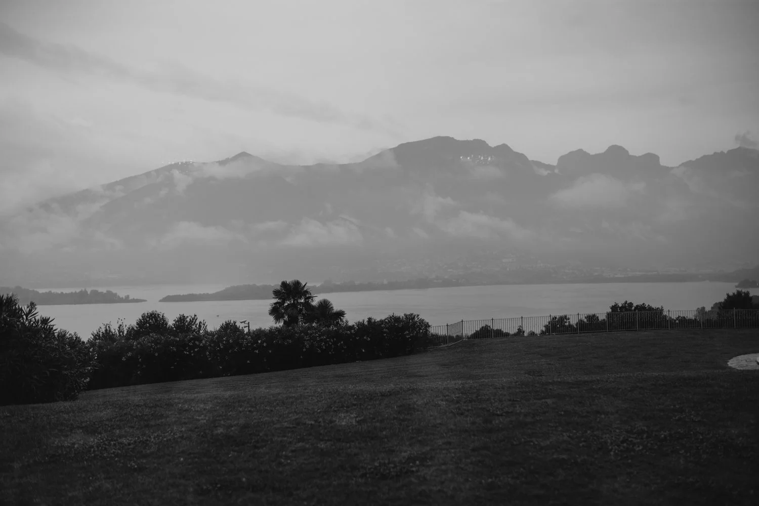 DSC_2977.jpg