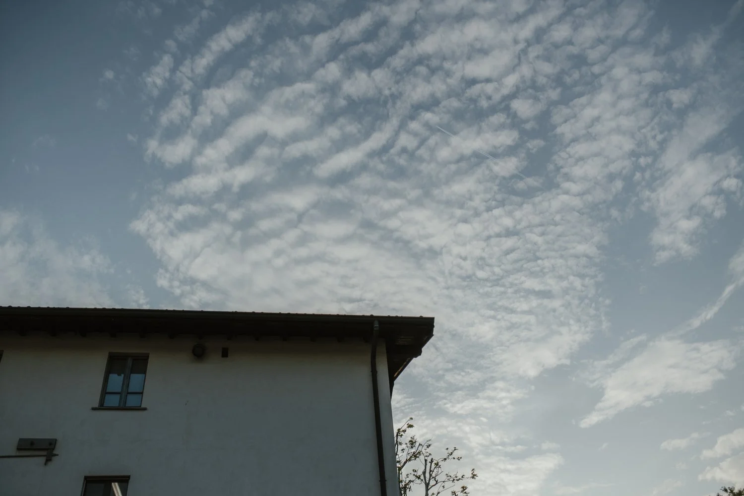 DSC_5398.jpg