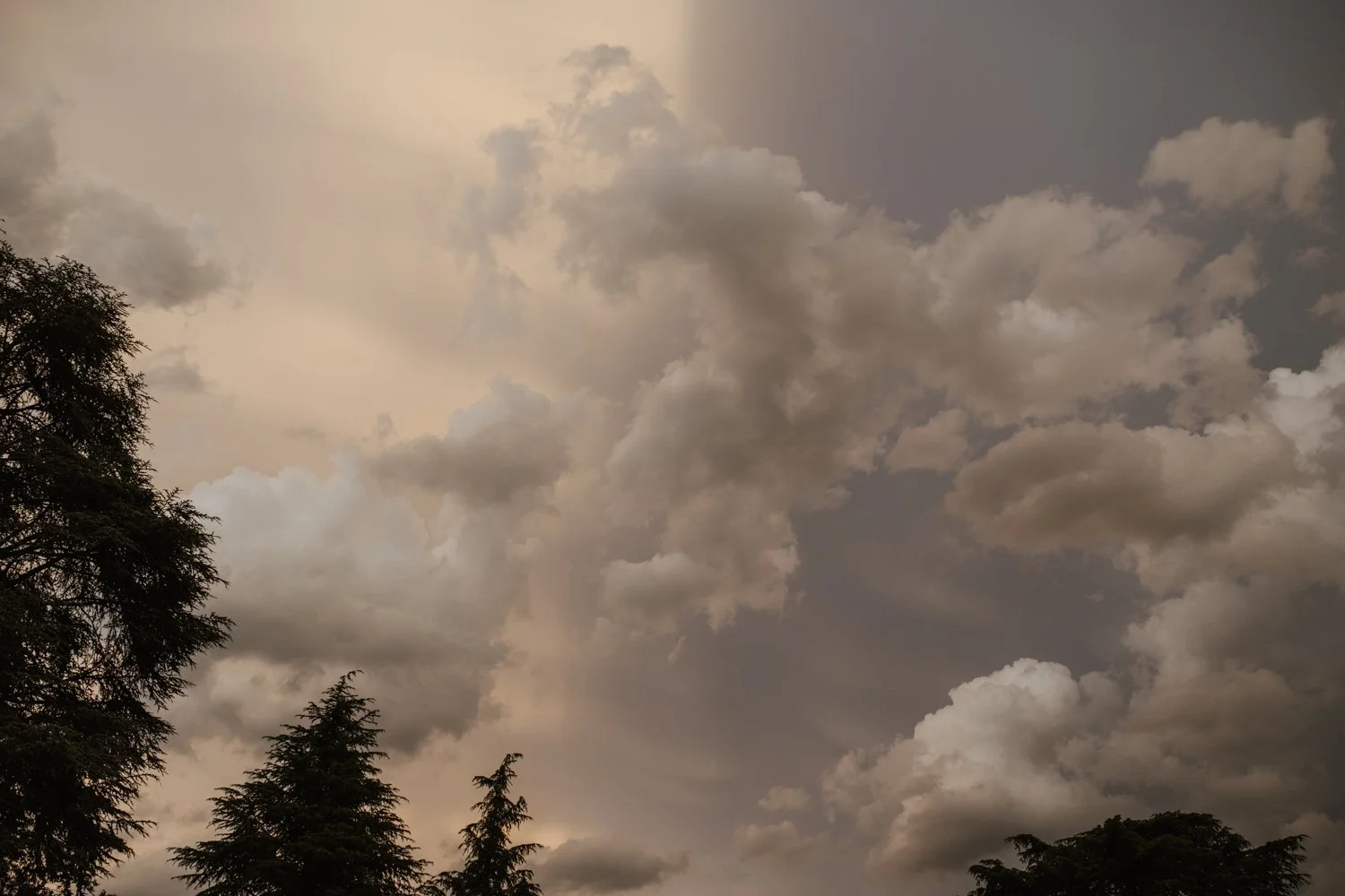 DSC_0029.jpg