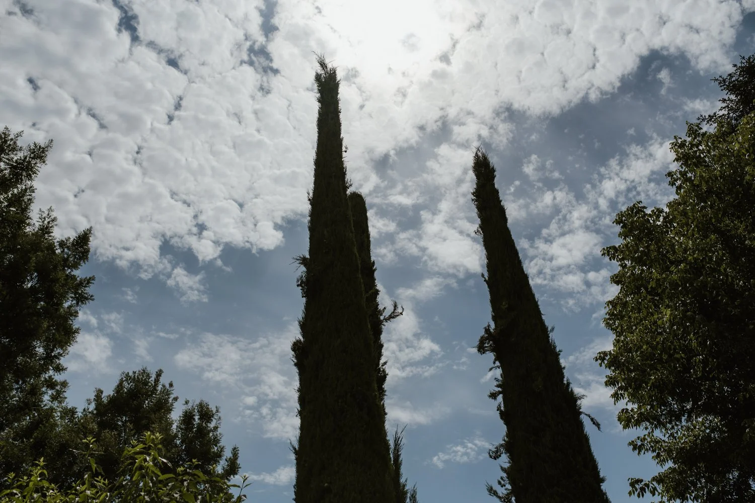 DSC_6863.jpg