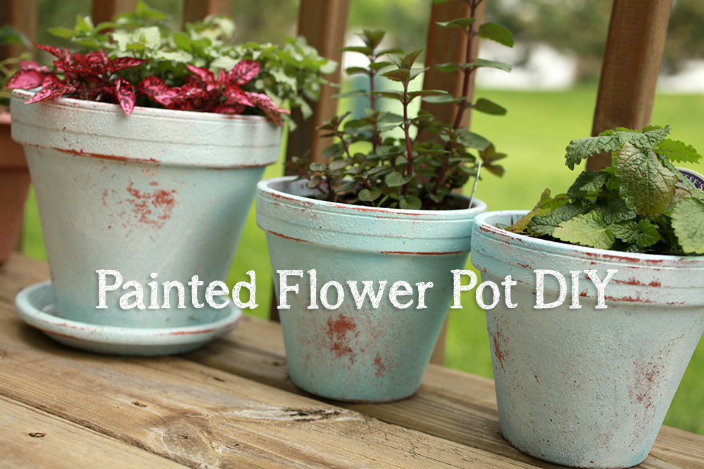 how to prepare soil for planting seeds