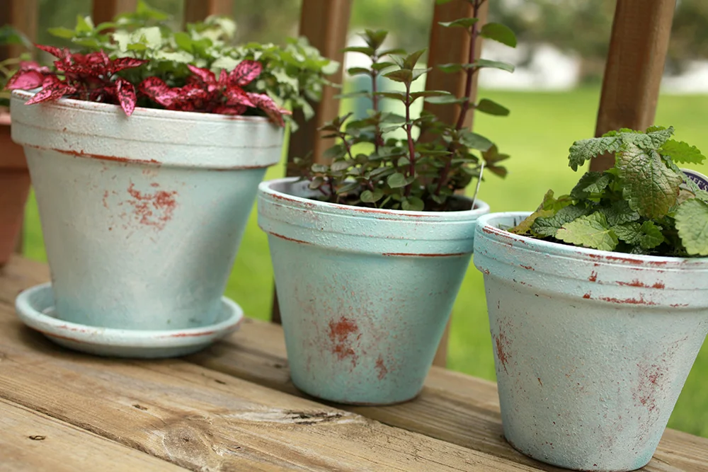 PaintedFlowerDIY-Finish2.jpg