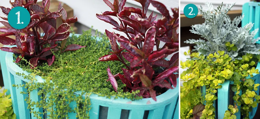 ContainerGarden01.jpg