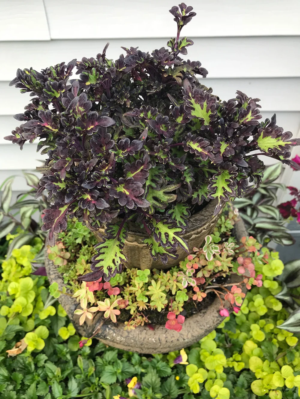 DIY-Fountain-Planter-top.jpg