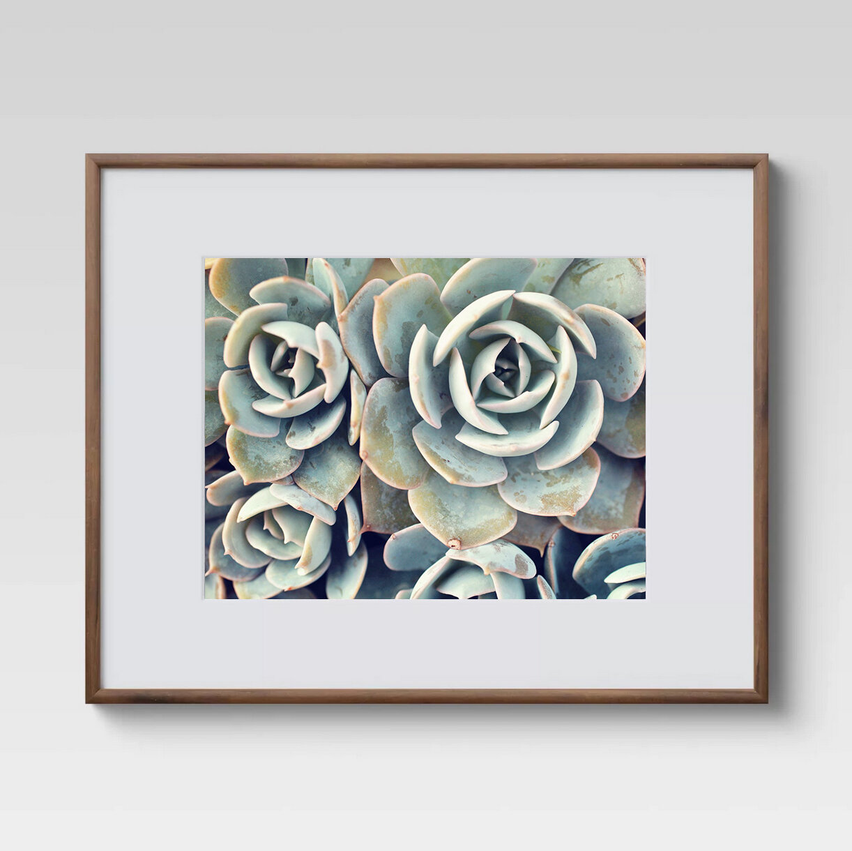 succulentprint01.jpg