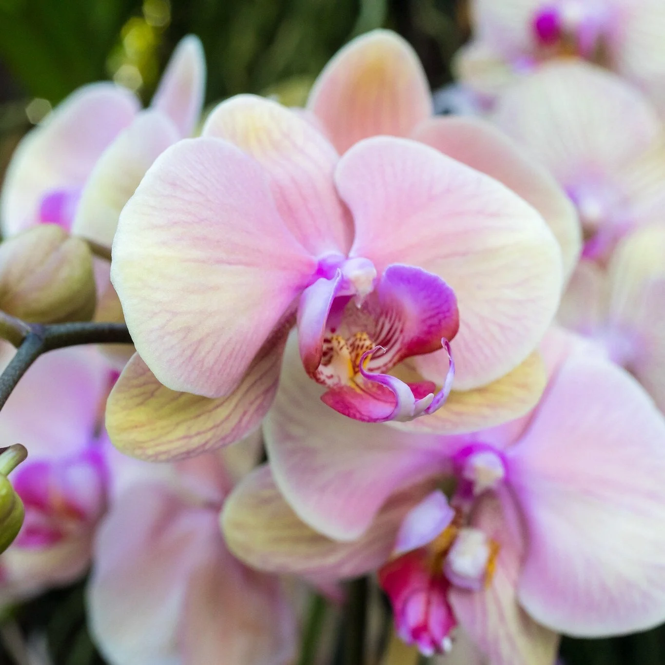 Top 10 Most Popular Posts of 2019