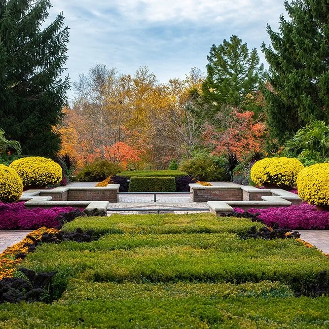 Fall Color at the Chicago Botanic Garden