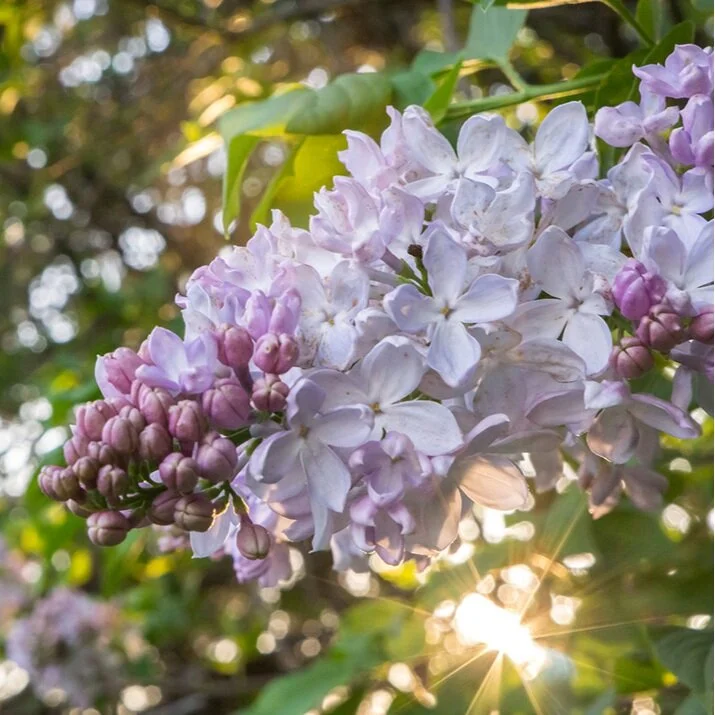 Top 10 Most Popular Posts of 2018