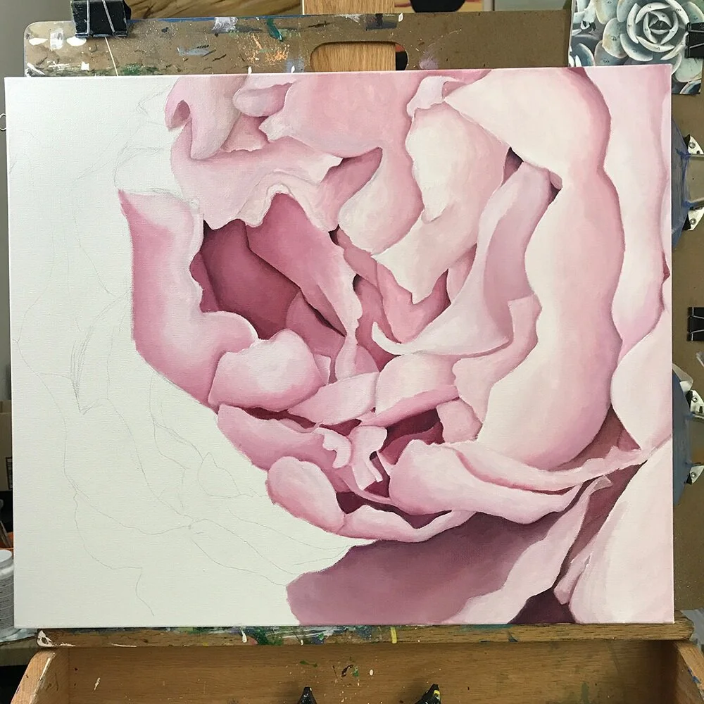 WIP - Pink Peony Oil Painting