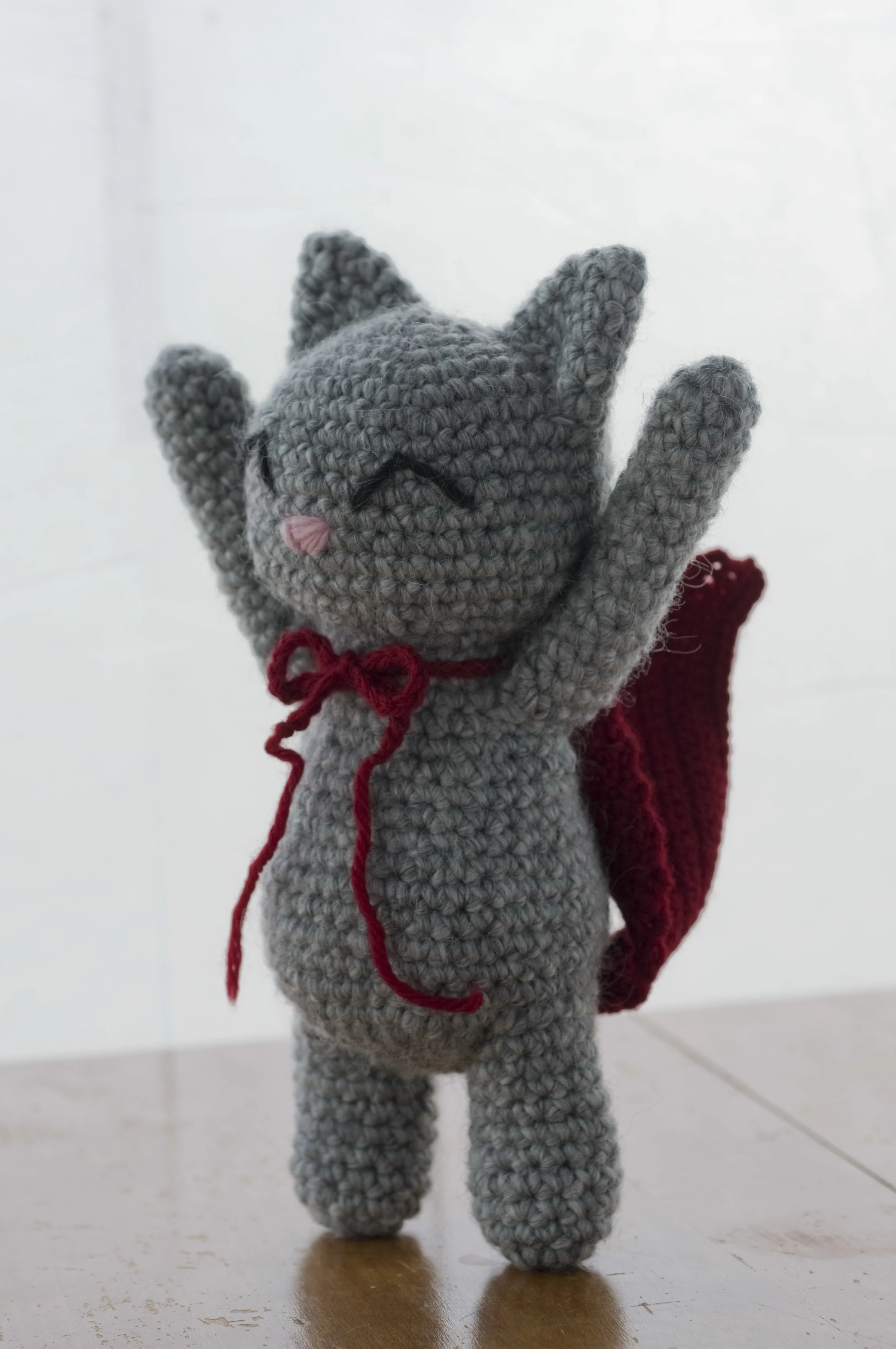 For some reason Bunny decided to crochet a cape for this cat.