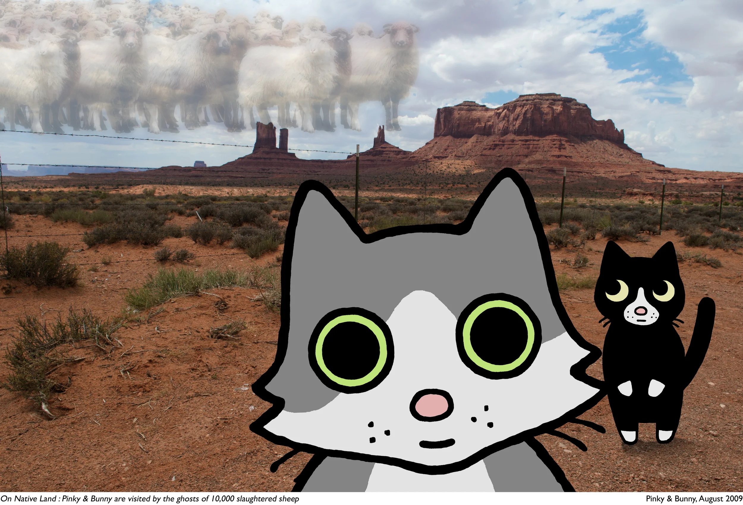 onnativeland_sheep.jpg