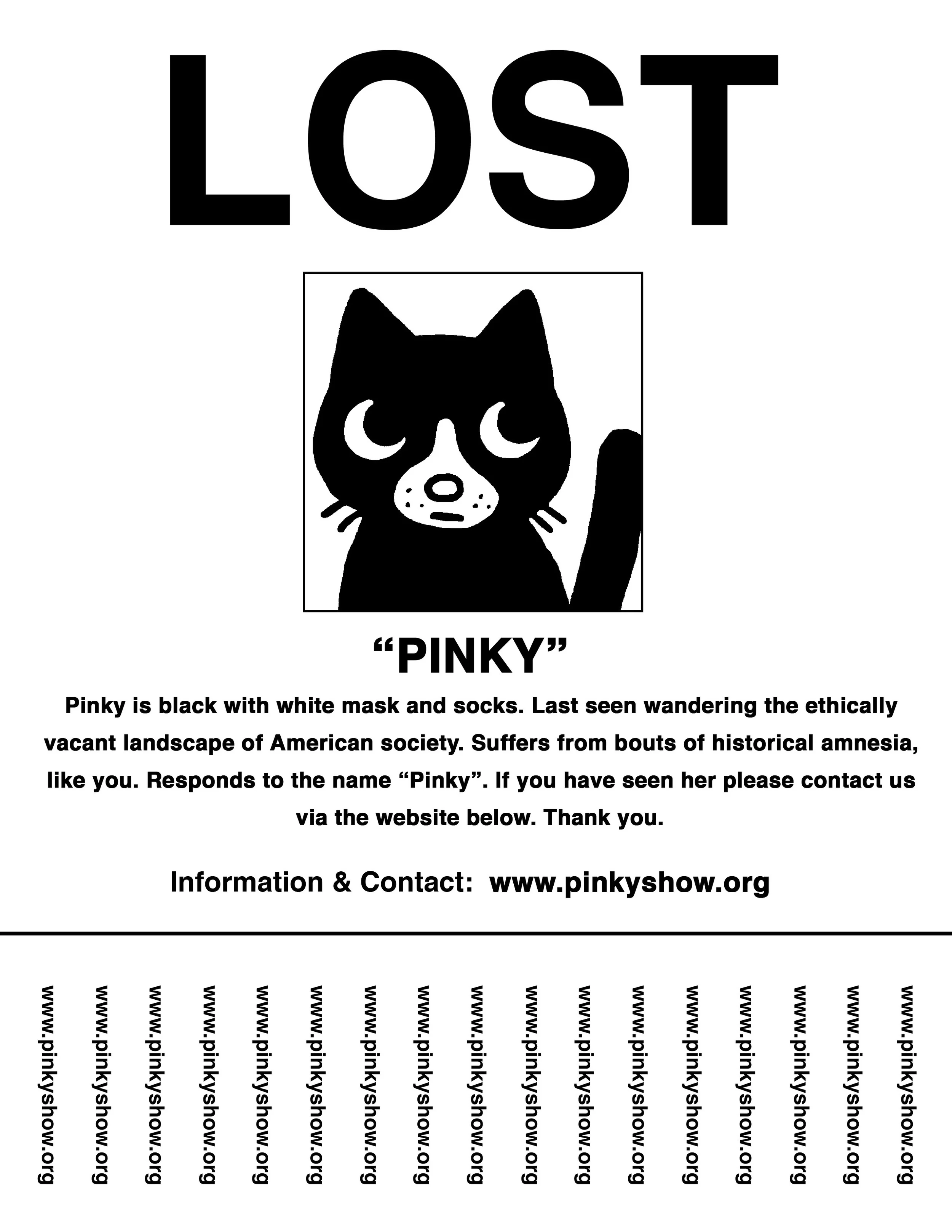 20070527_lostcatflier.jpg