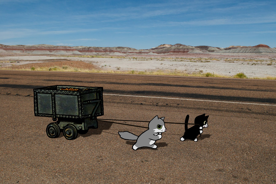   On Native Land : Pinky &amp; Bunny pull 360 pounds of uranium tailings through Petrified Forest National Park  (2009).  