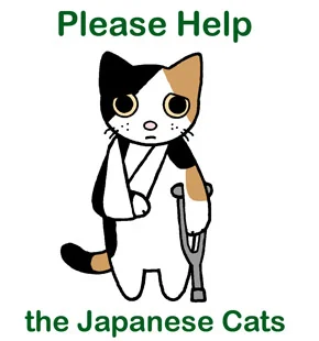 japanesecat.jpg