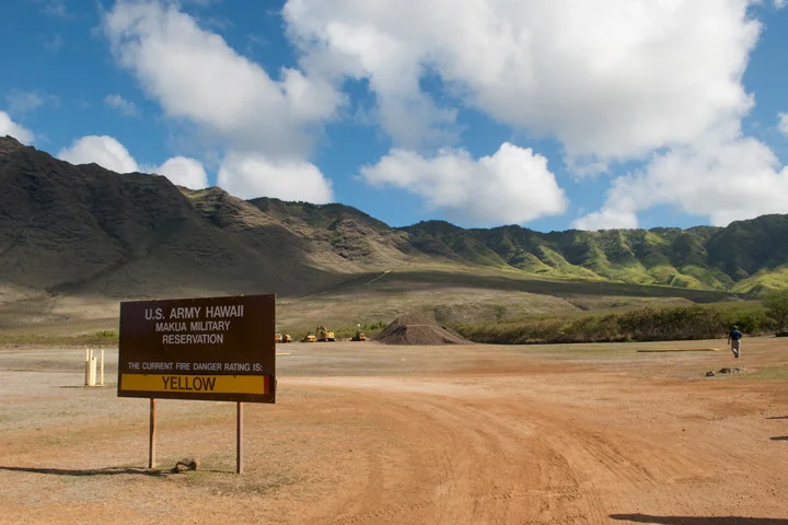 daisy_makua_003.jpg