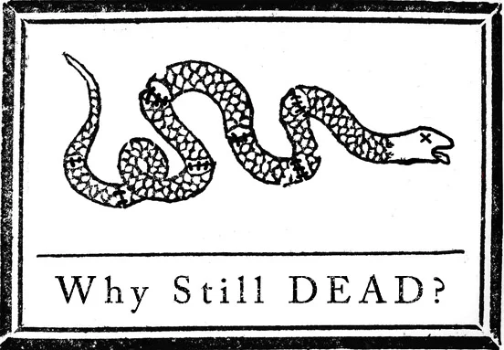 americansnake_v02_sm.jpg