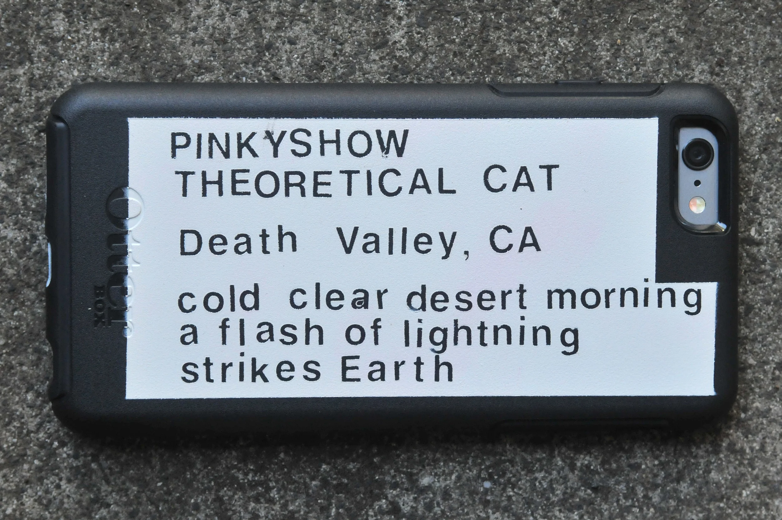 Theoretical's do-everything portable telephone/camera/camcorder/GPS thing. (FYI: The haiku works out to 5/7/5 syllables in cat language.)