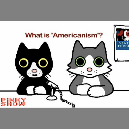americanism (Copy)