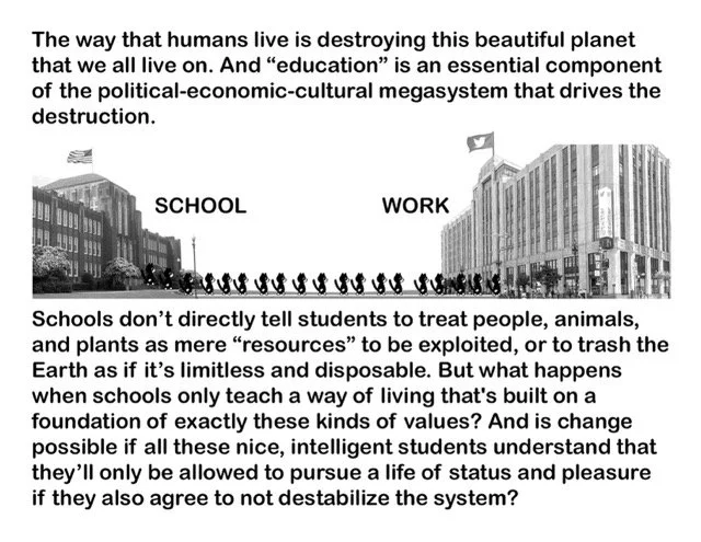 zine_2024_greetings university students_04-05 Medium.jpeg