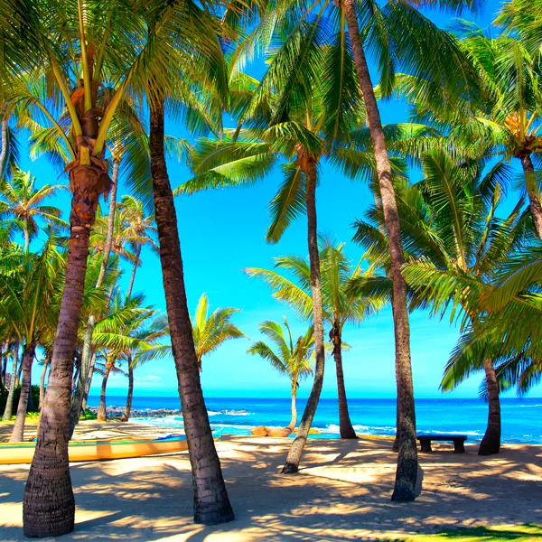 Our Maui J M Photography - Hawaii Wall Art Photography Our Maui J M Photography - Hawaii Wall Art Photography