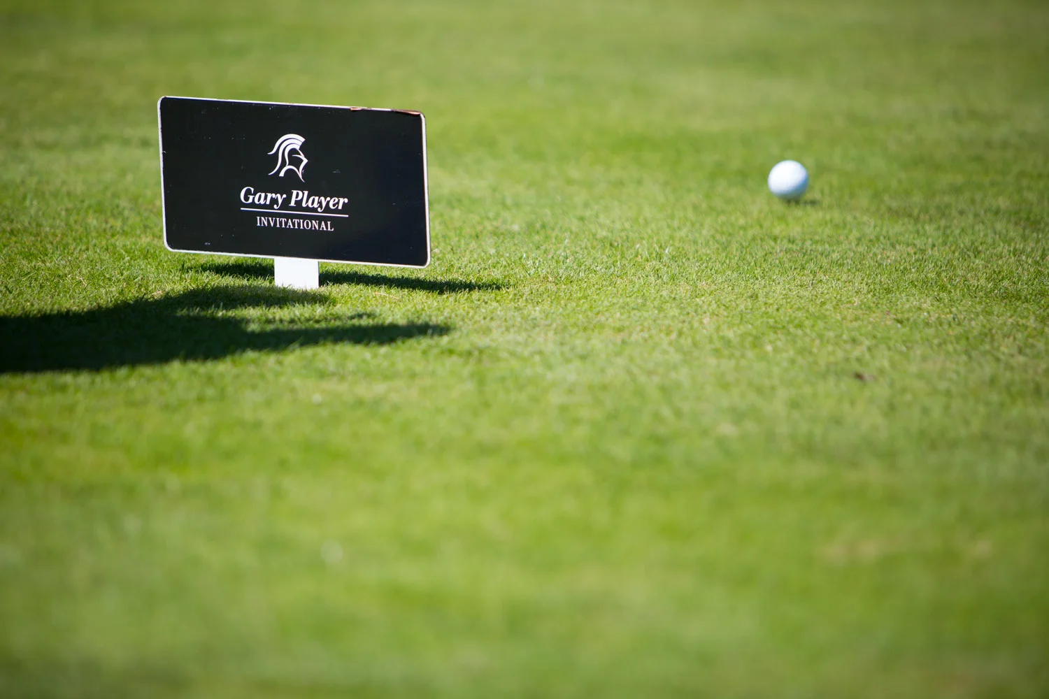 TA006_Gary_Player.jpg